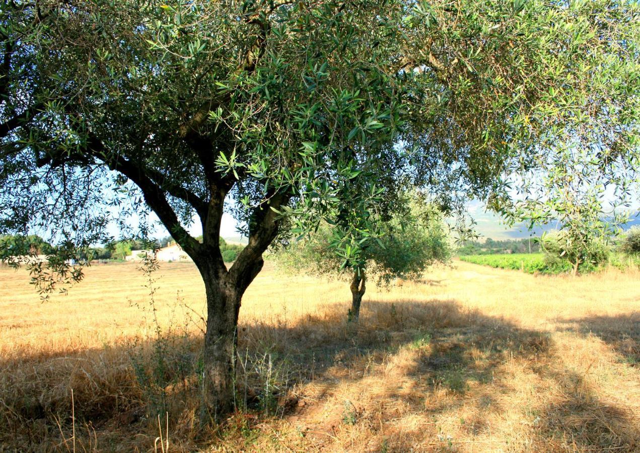 Agriturismo Da Pina Porto Conte Exteriör bild