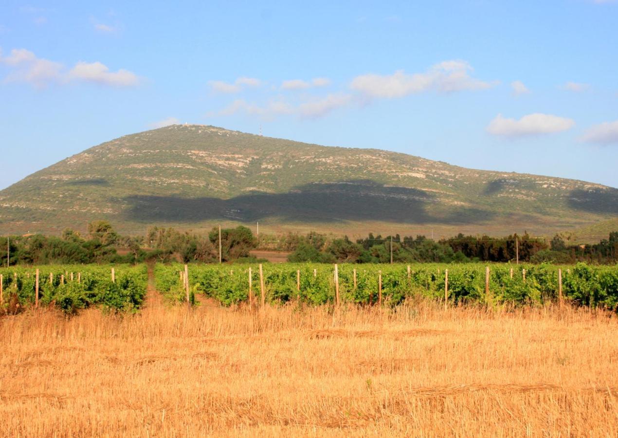 Agriturismo Da Pina Porto Conte Exteriör bild